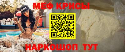 спиды Кингисепп