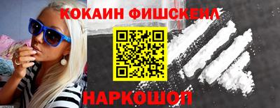 спиды Кингисепп