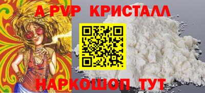 спиды Кингисепп