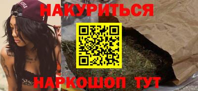 спиды Кингисепп
