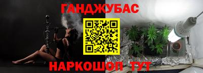 спиды Кингисепп