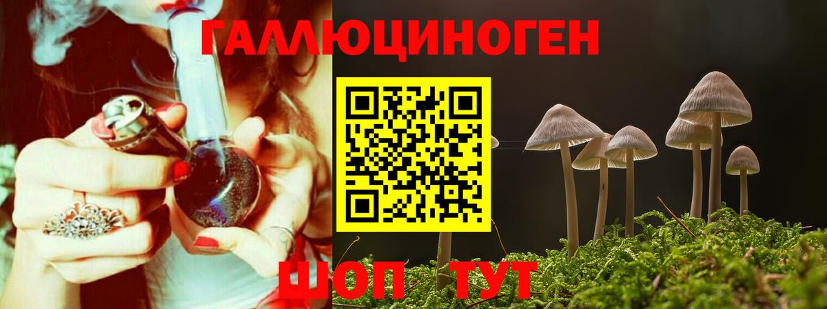 Галлюциногенные грибы Cubensis Красноярск